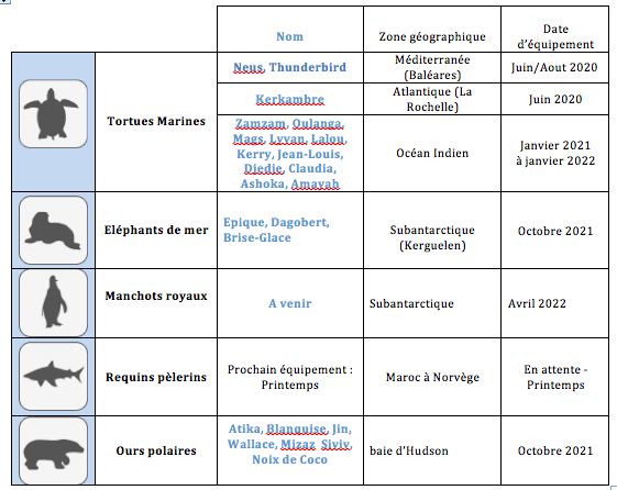 calendrier_animaux_s1_22.png